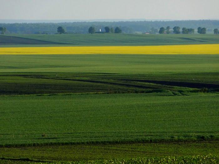 Стаївка з panoramio.com - Стаївка