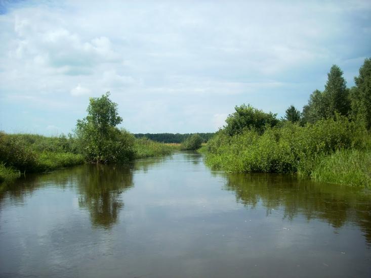 Курне з panoramio.com - Курне