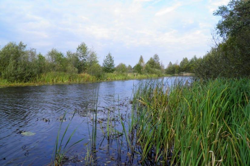 Млин з panoramio.com - Mlyn