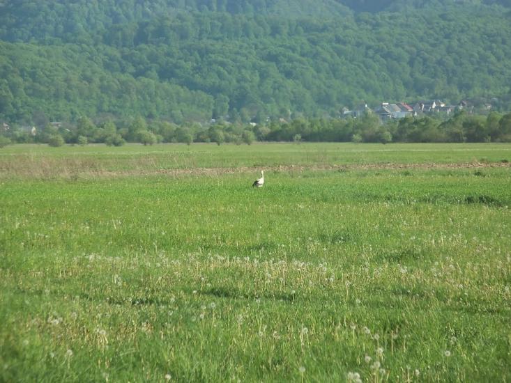 Вишково з panoramio.com - Вышково