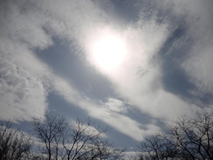 Вересаєве з panoramio.com - Вересаєве