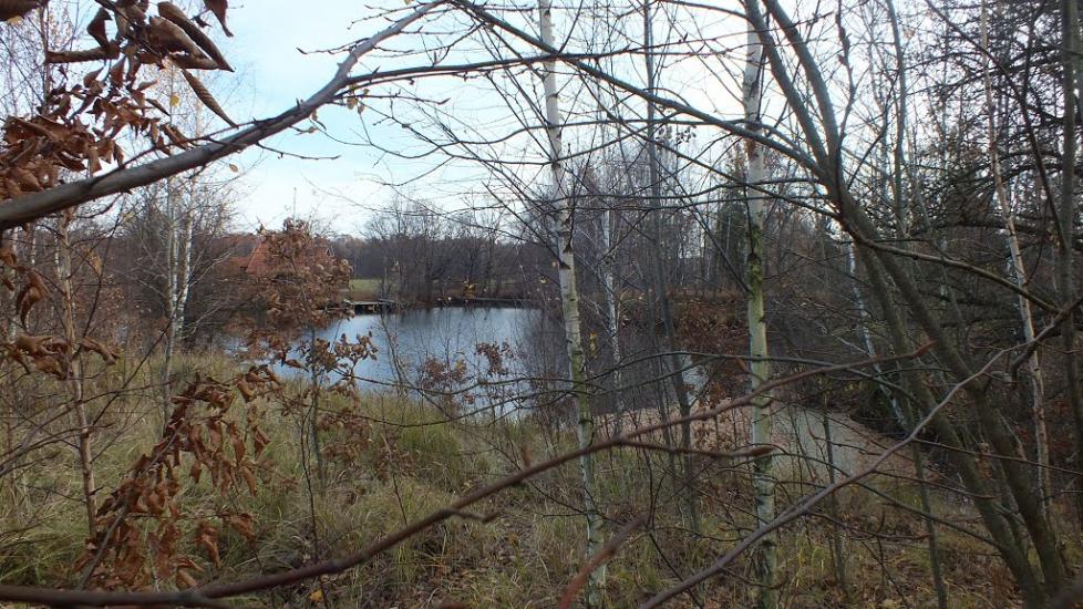 Бондарів з panoramio.com - Бондарів