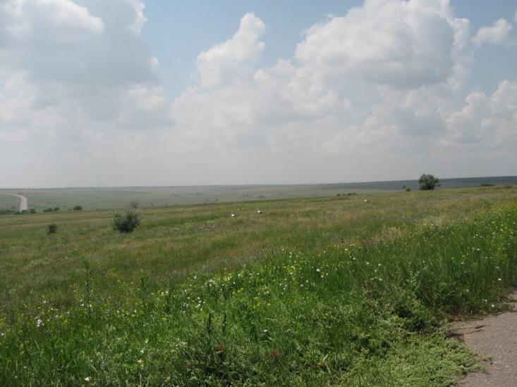 Новогригорівка з panoramio.com - Новогригорівка