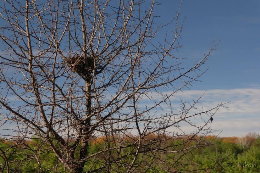 Боровеньки з panoramio.com - Боровеньки