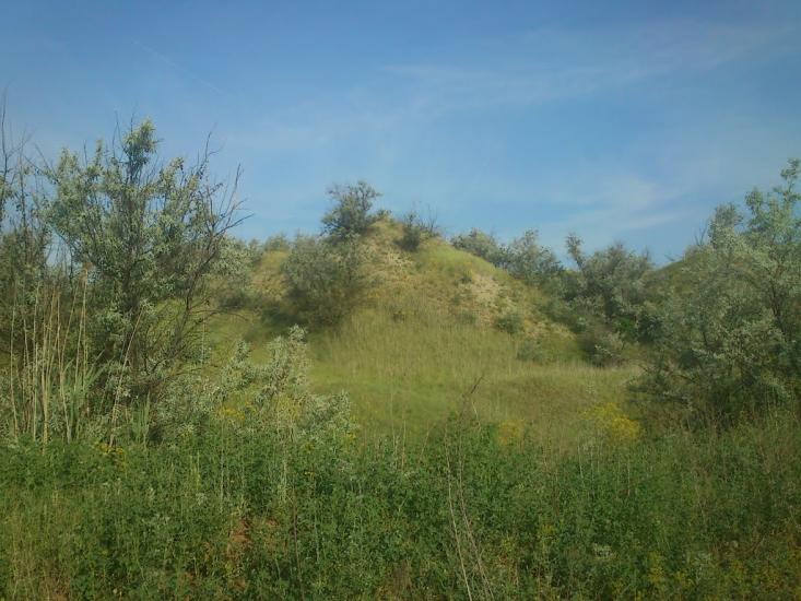 Орджонікідзе з panoramio.com - Орджоникидзе