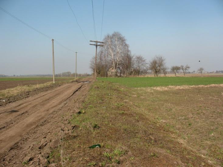 Добрятин з panoramio.com - Добрятин