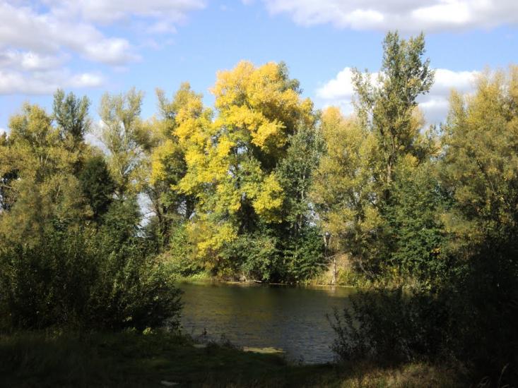 Білоцерківка з panoramio.com - Белоцерковка