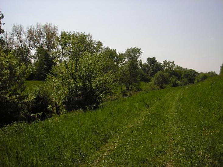 Сторожниця з panoramio.com - Сторожница