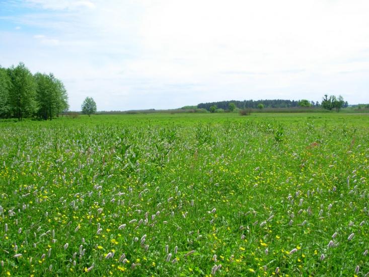Колісники з panoramio.com - Колісники