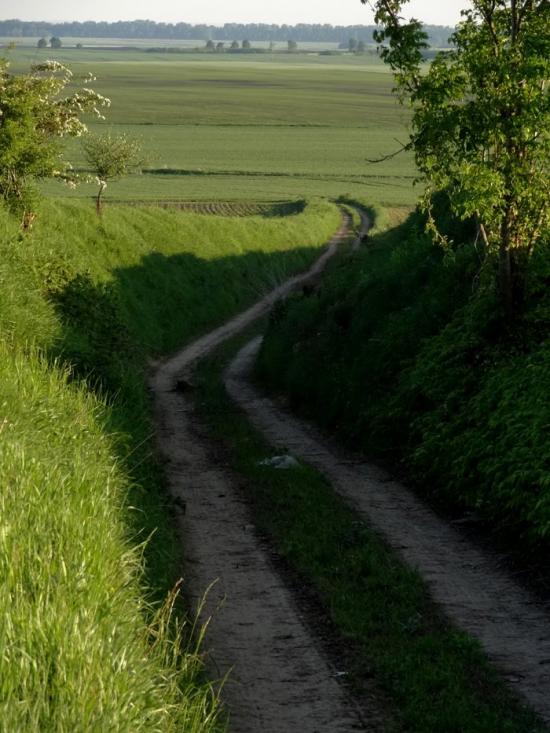 Стаївка з panoramio.com - Стаївка