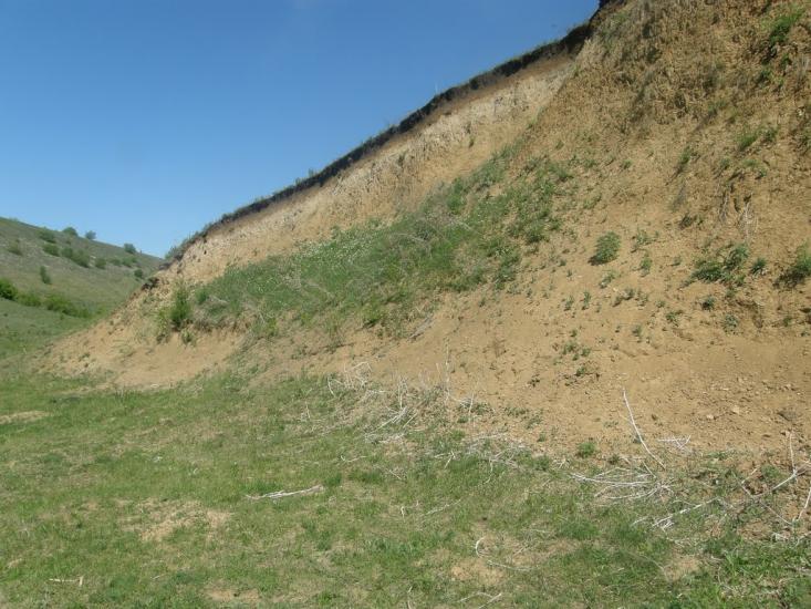 Айдар-Миколаївка з panoramio.com - Айдар-Николаевка