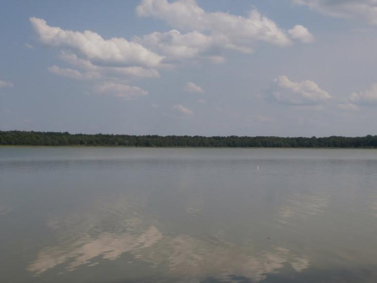 Ниговищі з panoramio.com - Ниговищи