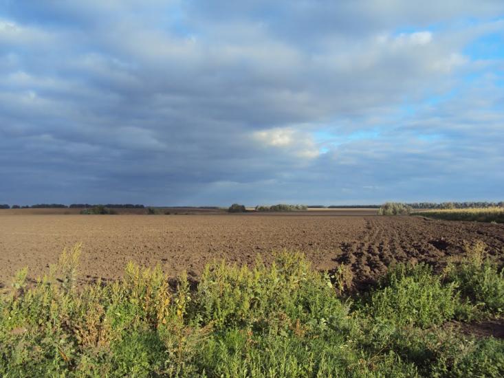 Веселий Кут з panoramio.com - Veselyy Kut