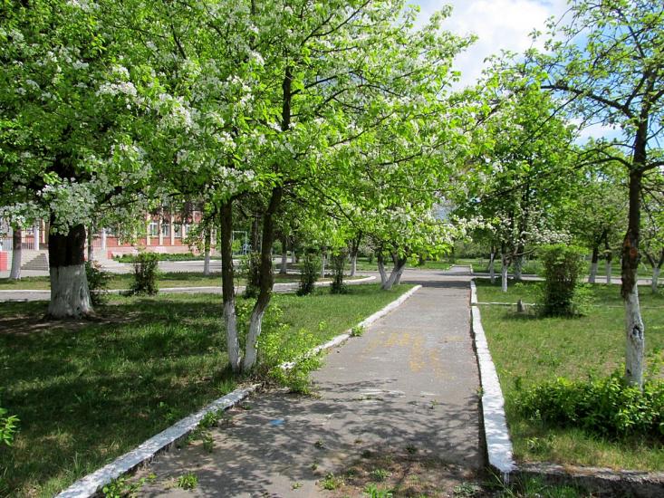 Понінка з panoramio.com - Poninka