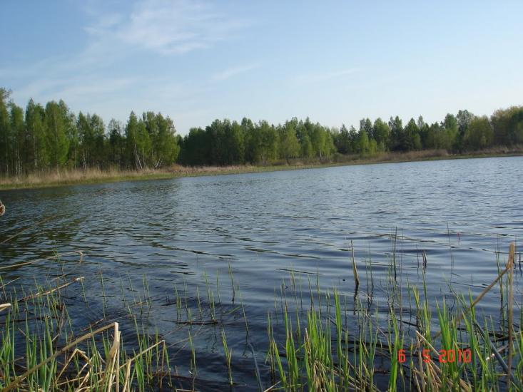 Ковалин з panoramio.com - Ковалин