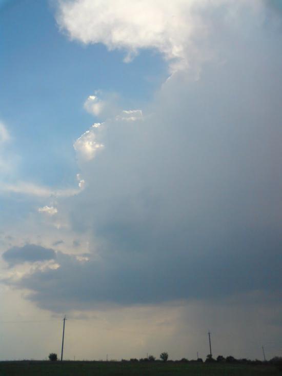 Чумаки з panoramio.com - Чумаки