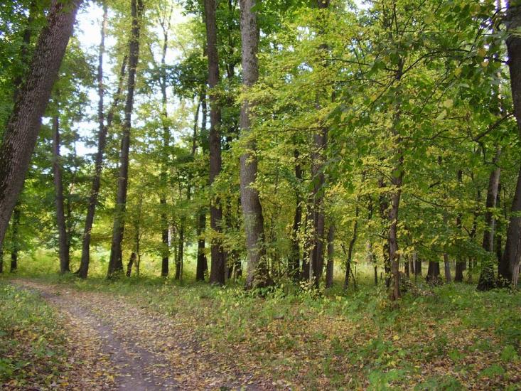 Рибальське з panoramio.com - Рибальське