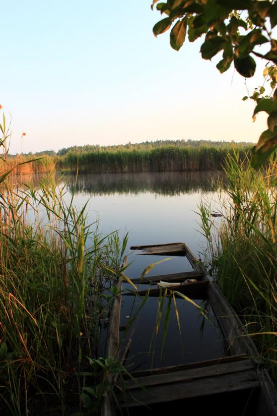 Жовтневе з panoramio.com - Жовтневе