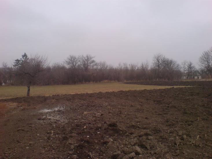 Бузникувате з panoramio.com - Бузникувате