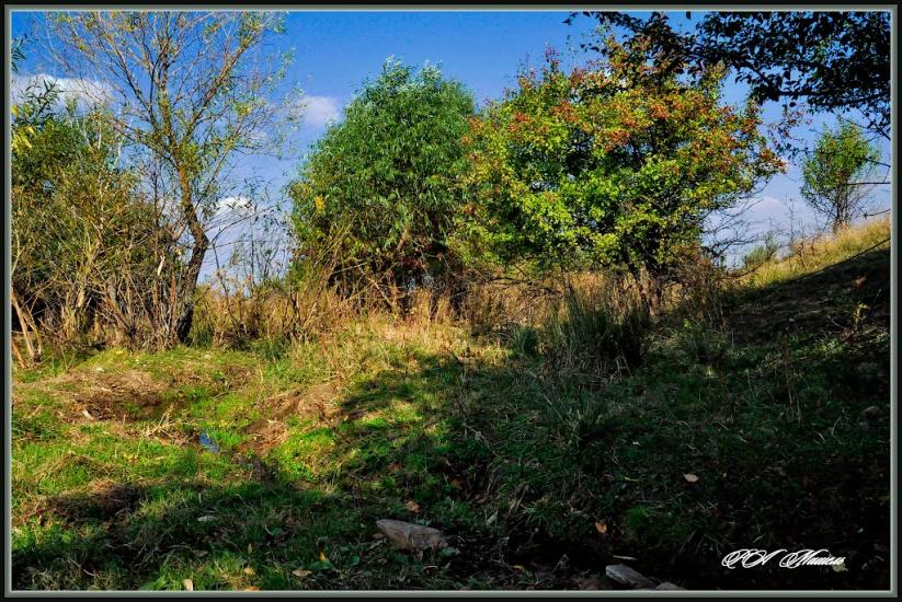 Сімейкине з panoramio.com - Сімейкине