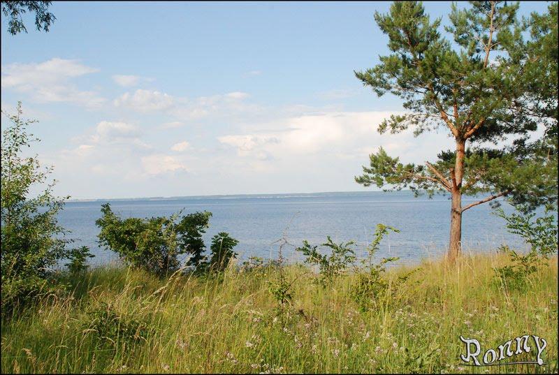 Бучак з panoramio.com - Бучак