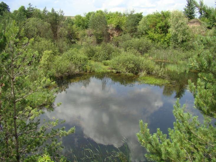 Бабинці з panoramio.com - Бабинці