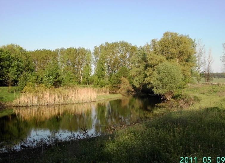 Климівка з panoramio.com - Климовка