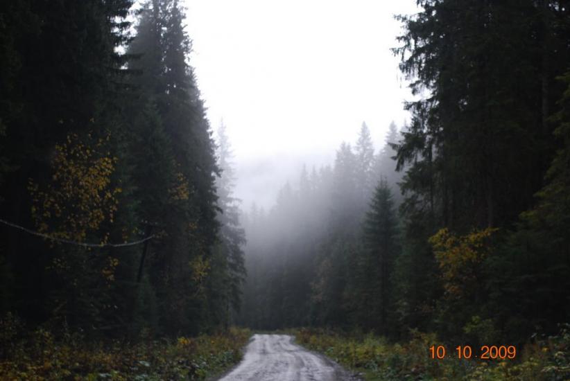 Вороненко з panoramio.com - Voronenko