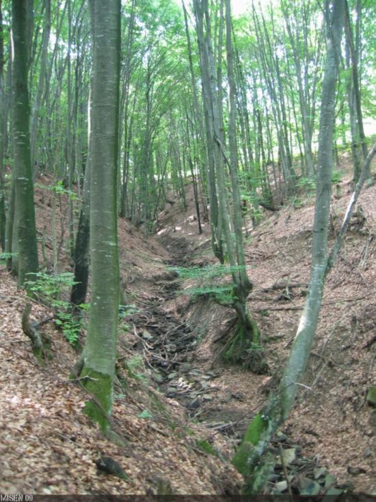 Суха з panoramio.com - Суха