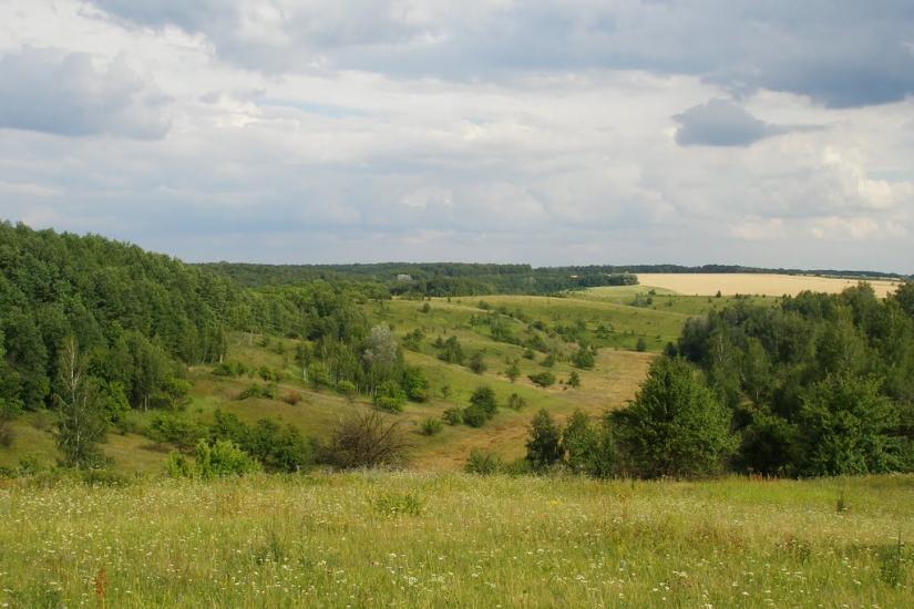 Велика Чернеччина з panoramio.com - Velyka Chernechchyna