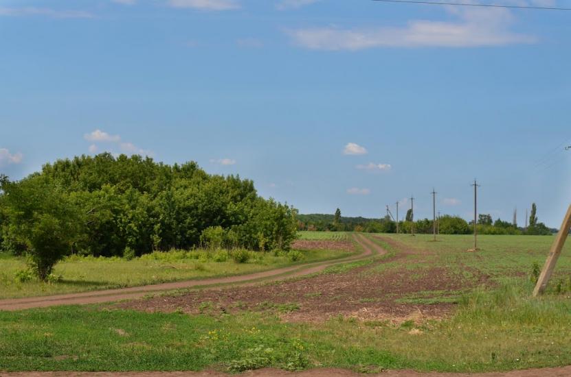 Вершино-Кам'янка з panoramio.com - Вершино-Кам'янка