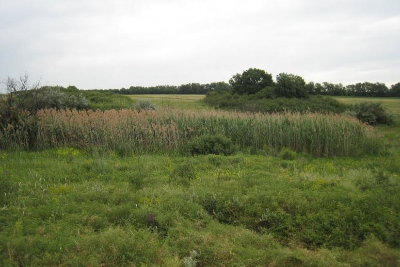 Родникове з panoramio.com - Rodnykove