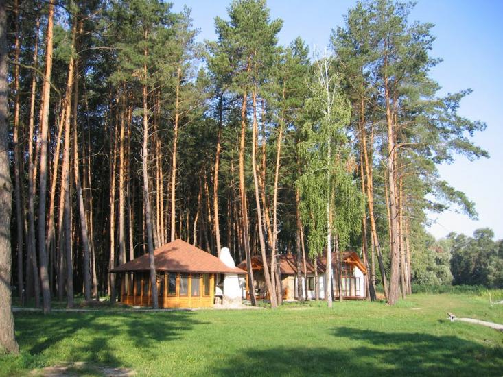 Сокирна з panoramio.com - Сокирна