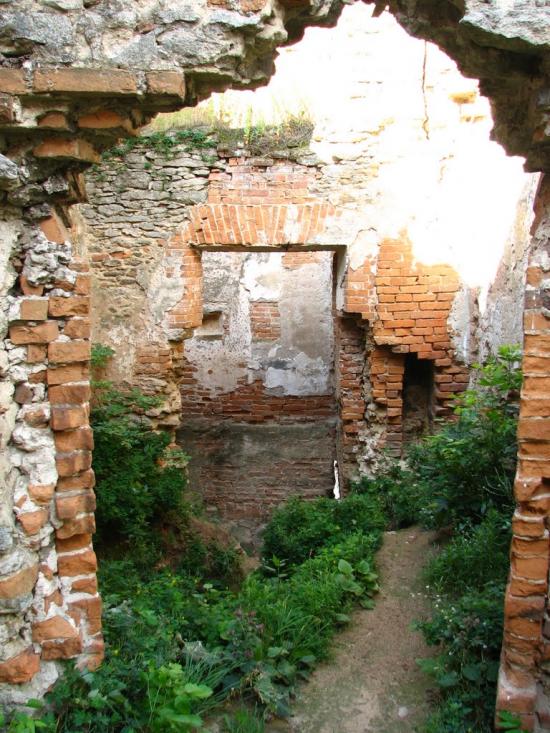 Требухівці з panoramio.com - Требуховцы