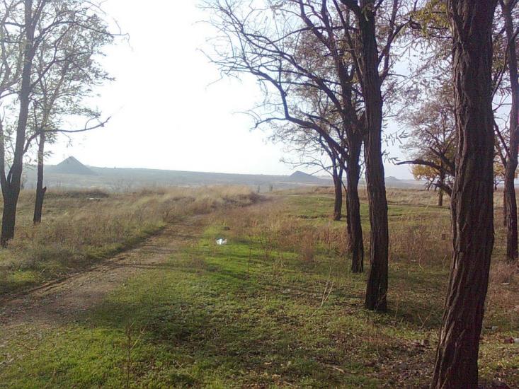 Шахтарськ з panoramio.com - Шахтерск
