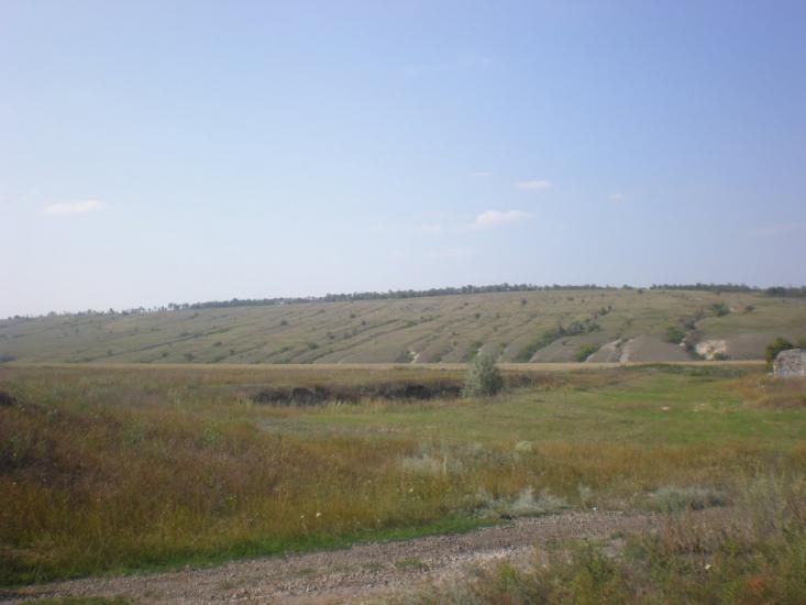 Радісне з panoramio.com - Радісне