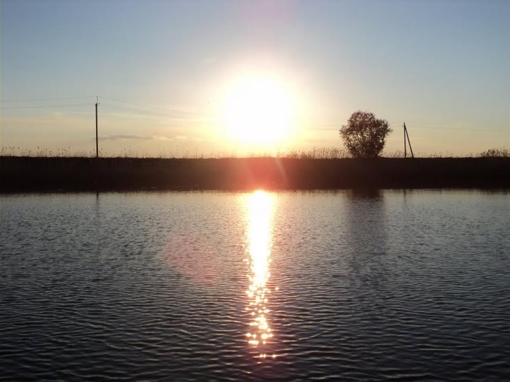 Комар з panoramio.com - Komar
