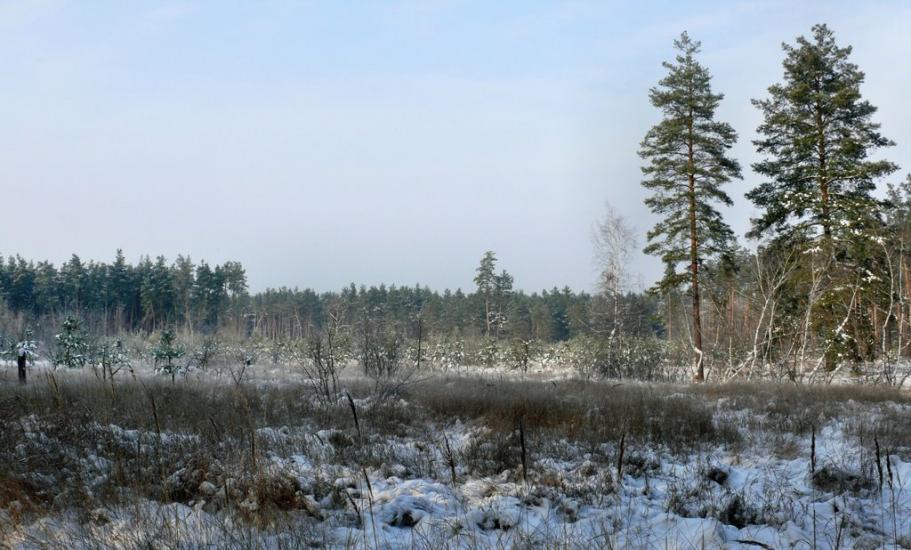 Булахівка з panoramio.com - Булахівка