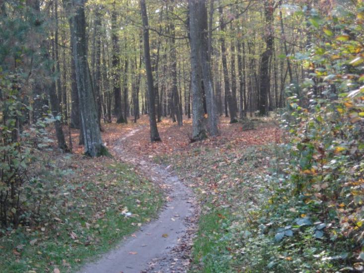 Смига з panoramio.com - Смига