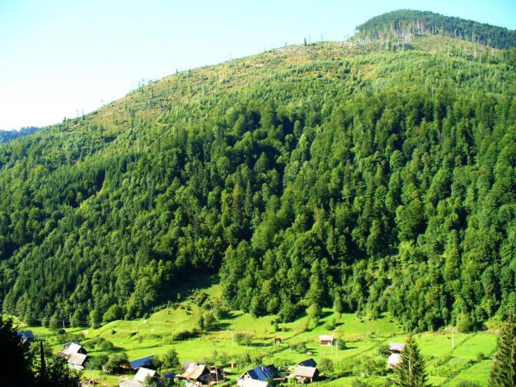 Лопухів з panoramio.com - Лопухов