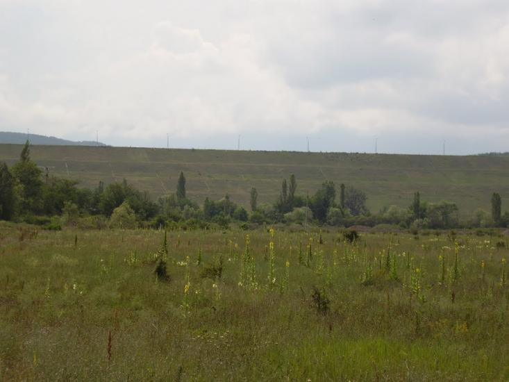Синапне з panoramio.com - Синапне