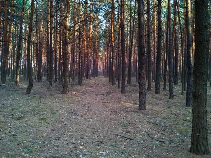 Пороскотень з panoramio.com - Пороскотень