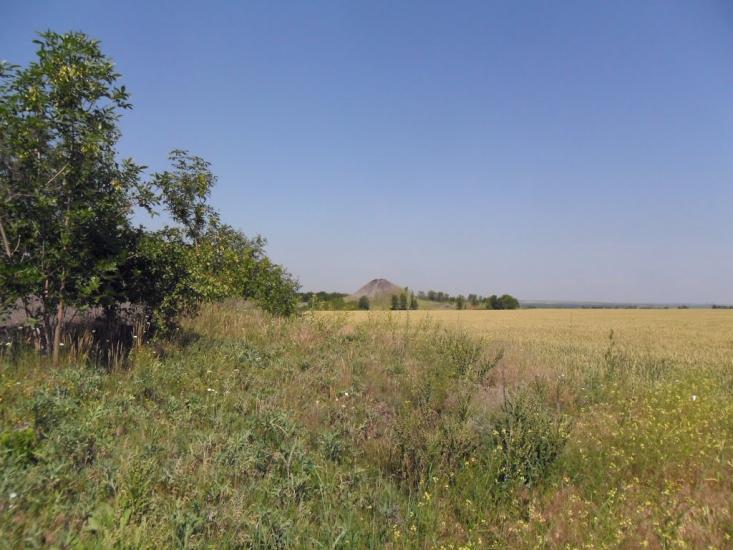 Щербинівка з panoramio.com - Щербинівка