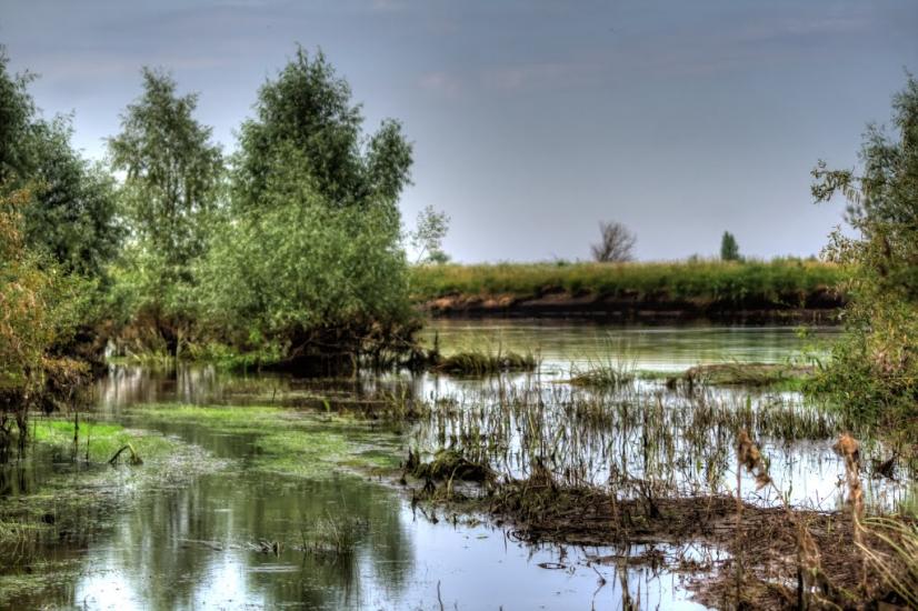 Літочки з panoramio.com - Леточки