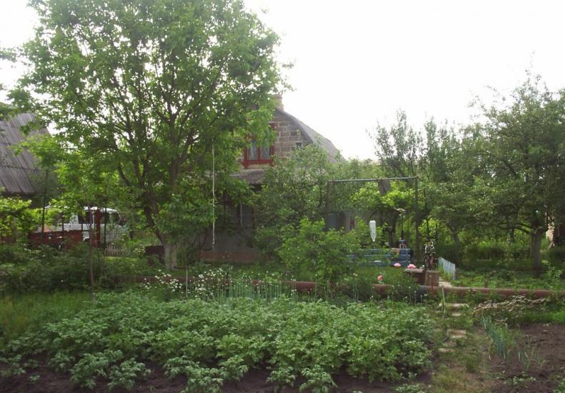 Ровжі з panoramio.com - Ровжи