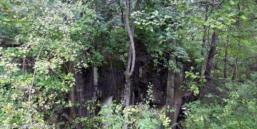 Дев'ятир з panoramio.com - Девятир