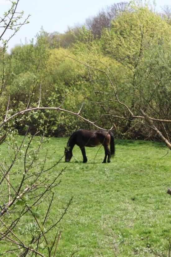 Токи з panoramio.com - Токи