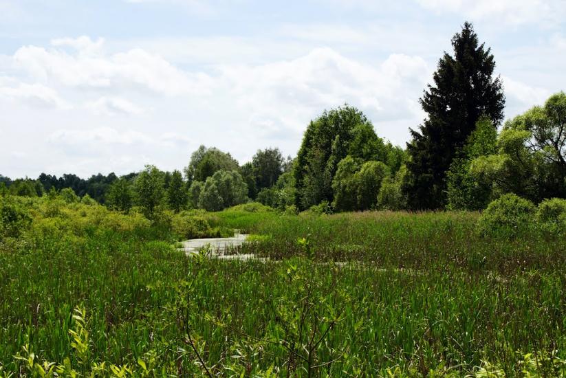 Рейментарівка з panoramio.com - Рейментаровка