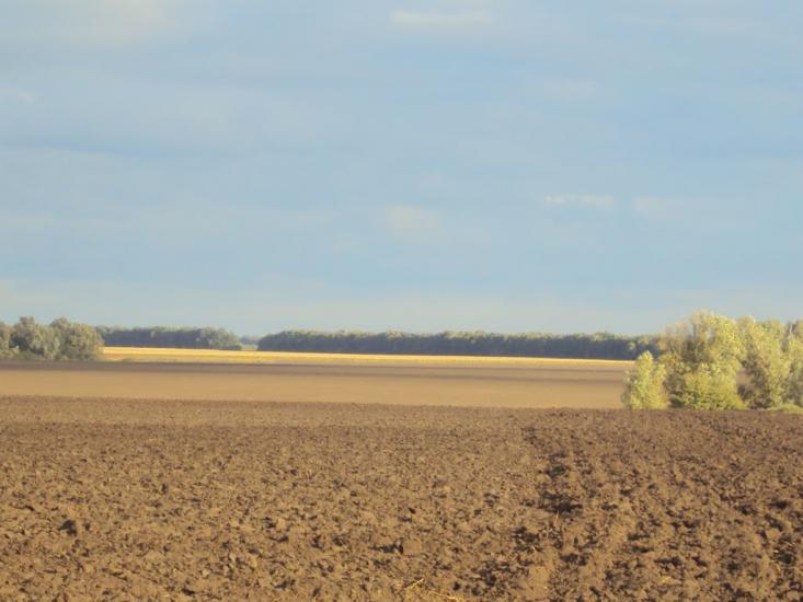 Веселий Кут з panoramio.com - Веселий Кут