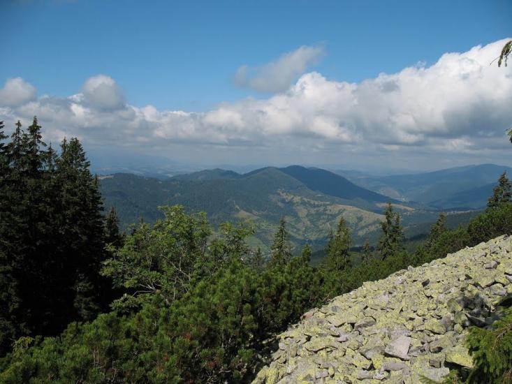 Стригальня з panoramio.com - Стригальняя